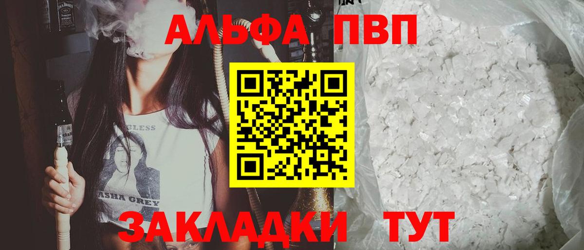 A PVP СК КРИС Нововоронеж