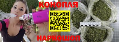 гашик Пенза