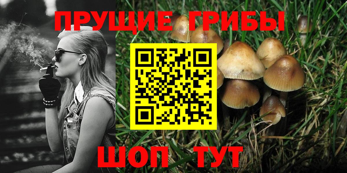 Псилоцибиновые грибы ЛСД  Вход с VPN  даркнет сайт  Нововоронеж 