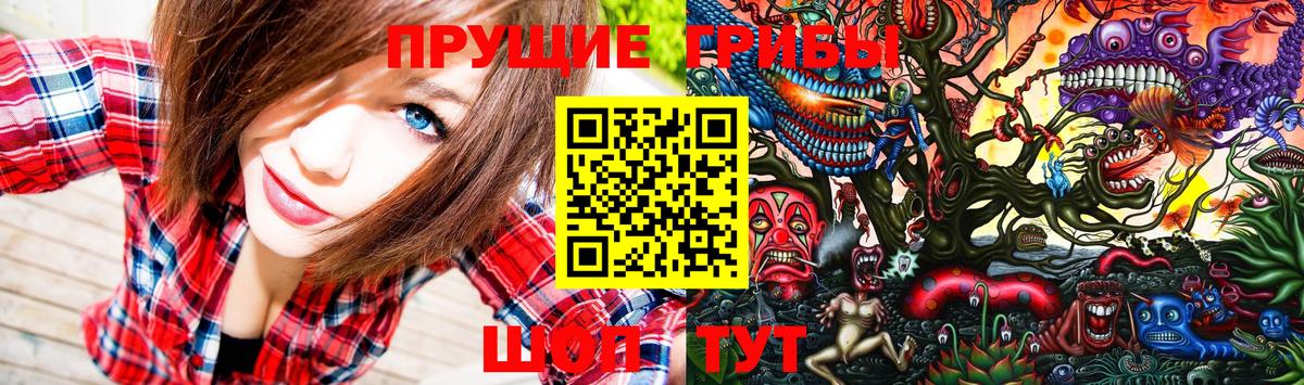 Псилоцибиновые грибы прущие грибы Нововоронеж